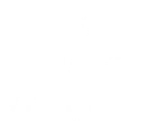 Chalet Vicente