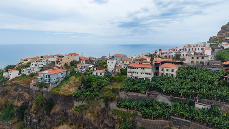 Vista aérea sobre as casas, as bananeiras e o oceano